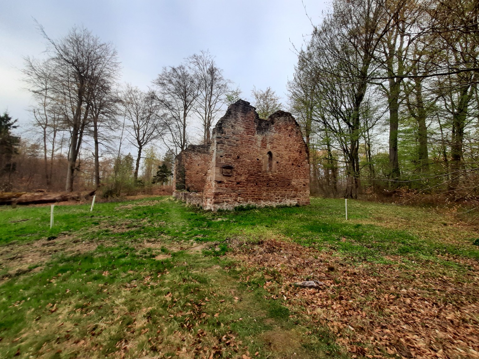 Featured image of post Die Leisenberger Kirchenruine – ein verschwundenes Dorf im Wald