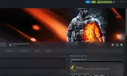 Featured image of post Und Battlefield läuft doch unter Linux